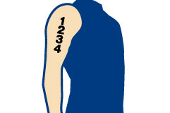 ボディナンバーシール